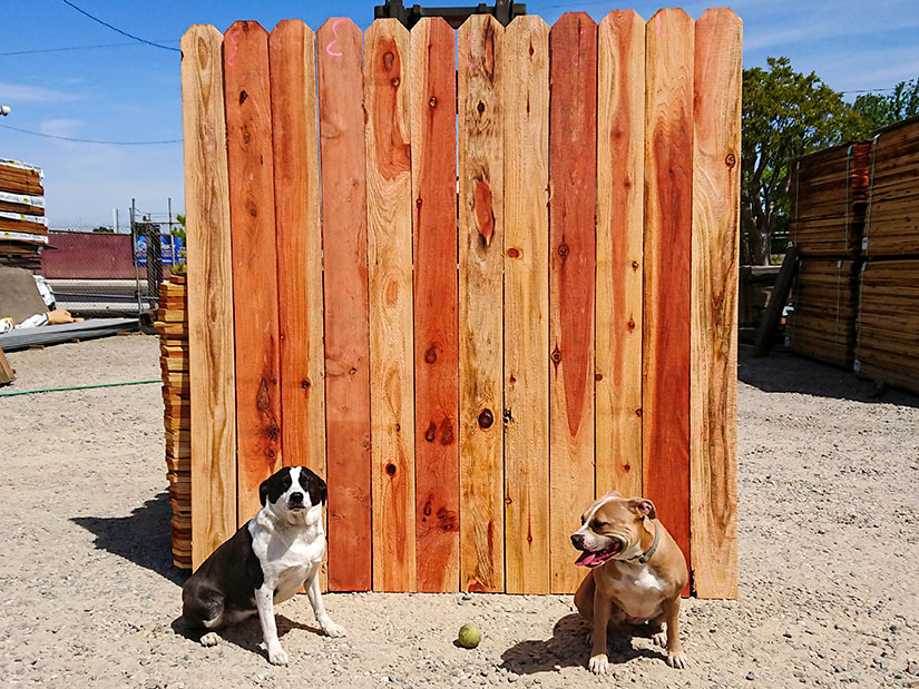 Redwood Ranch Fence